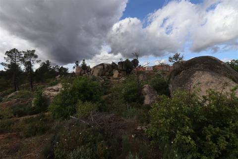 Quinta para venda em Vale de Telhas - Mirandela.