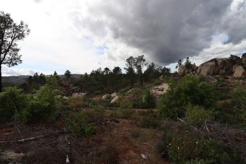 Quinta para venda em Vale de Telhas - Mirandela.