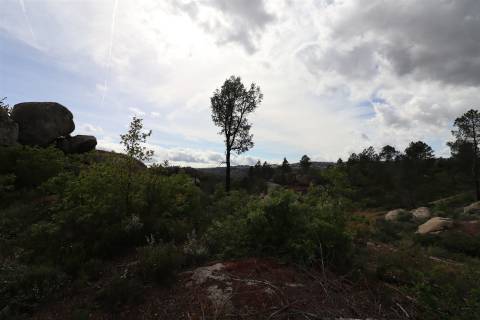 Quinta para venda em Vale de Telhas - Mirandela.