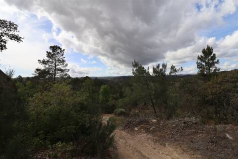 Quinta para venda em Vale de Telhas - Mirandela.