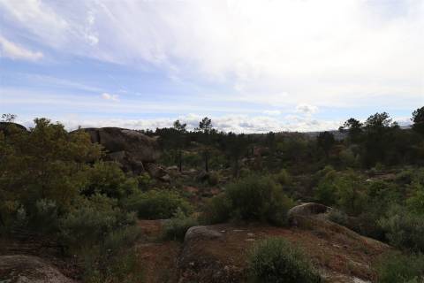 Quinta para venda em Vale de Telhas - Mirandela.