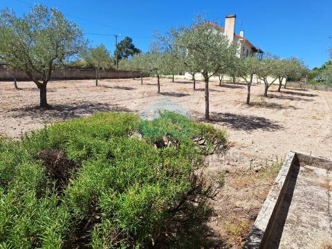 Moradia Independente para Venda nas Aguieiras - Mirandela