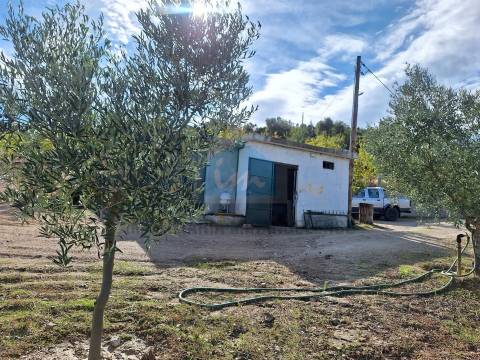 Terreno Rústico para venda