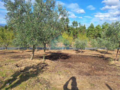 Terreno Rústico para venda
