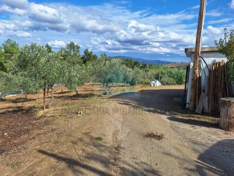 Terreno Rústico para venda