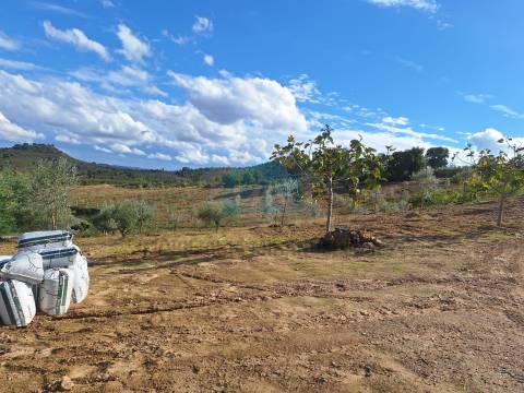 Terreno Rústico para venda