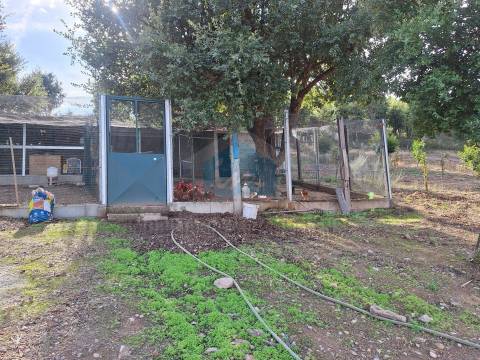 Terreno Rústico para venda