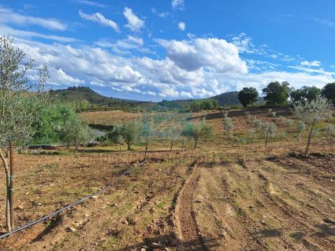 Terreno Rústico para venda