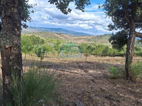 Terreno Rústico para venda