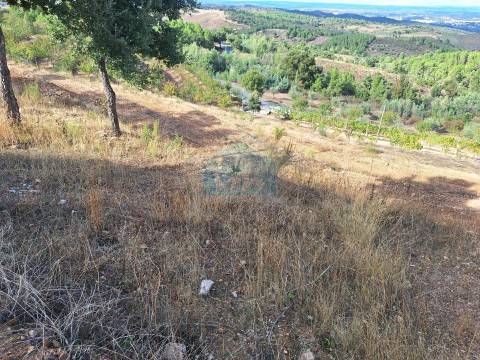 Terreno Rústico para venda