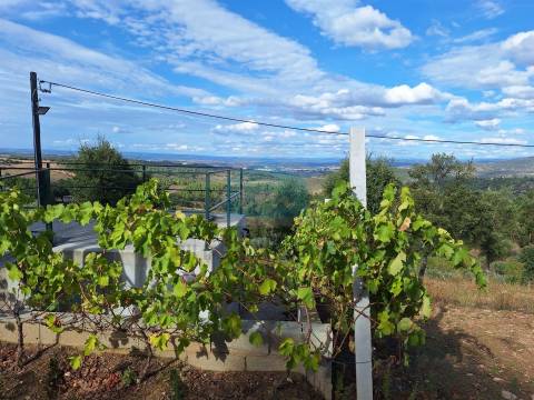 Terreno Rústico para venda