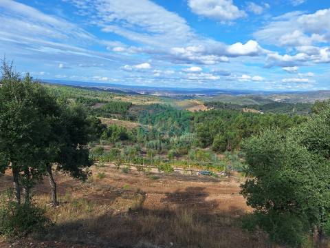 Terreno Rústico para venda