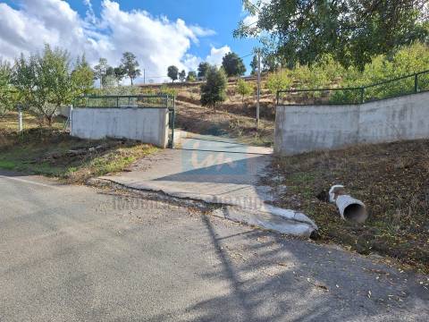 Terreno Rústico para venda