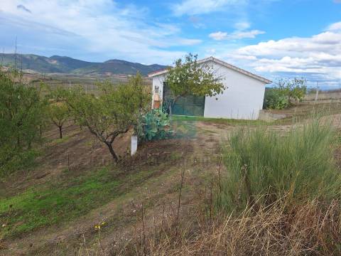 Terreno Rústico para venda