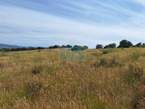 Terreno Rústico em Abambres com cerca de 6ha