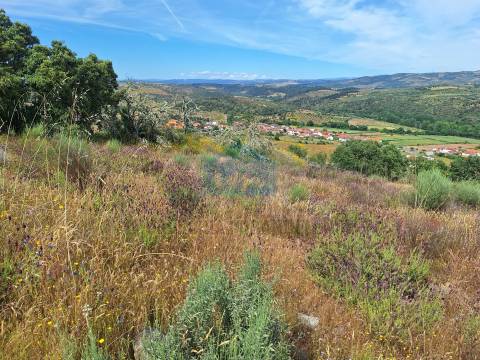 Terreno Rústico em Abambres com cerca de 6ha