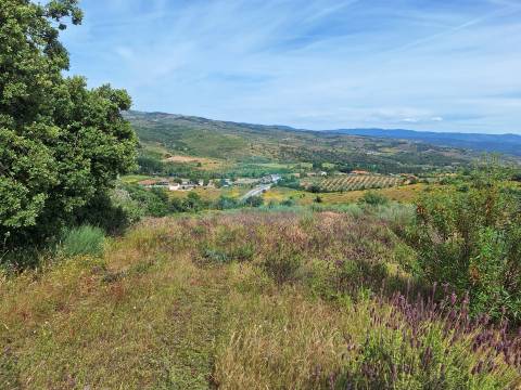 Terreno Rústico em Abambres com cerca de 6ha