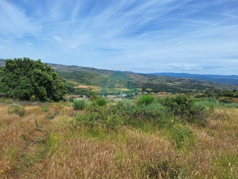 Terreno Rústico em Abambres com cerca de 6ha