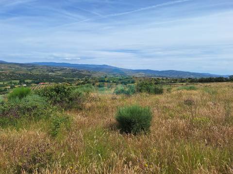 Terreno Rústico em Abambres com cerca de 6ha