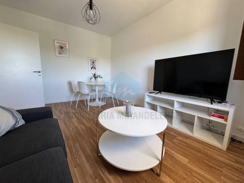 Apartamento mobilado e equipado, com vistas desafogadas para a Zona Verde de Mirandela