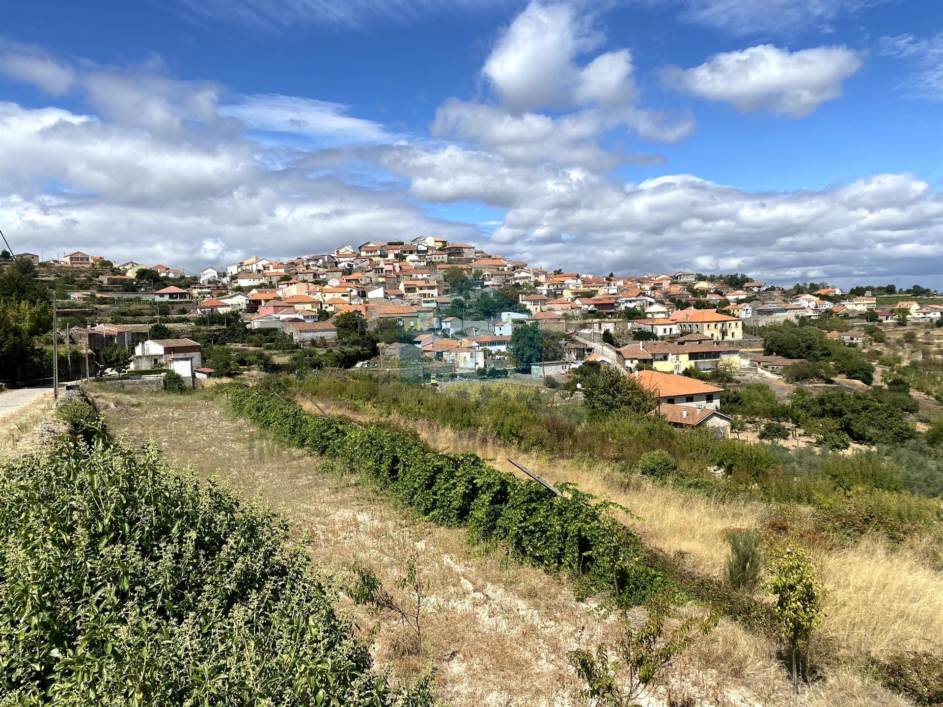 Terreno para construção em Vilarinho da Castanheira