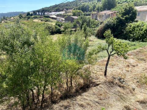 Terreno para construção em Vilarinho da Castanheira