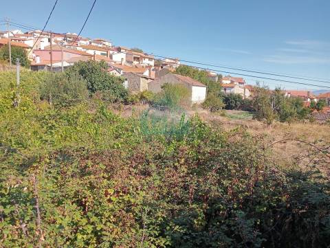 Terreno para construção em Vilarinho da Castanheira