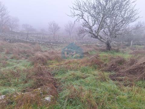 Moradia em ruínas para reconstrução em Vilares - Murça
