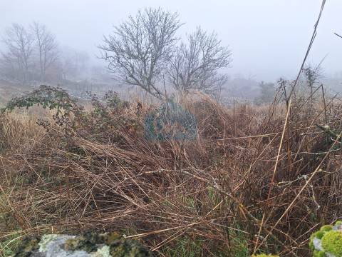 Moradia em ruínas para reconstrução em Vilares - Murça