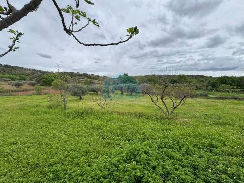 Moradia para venda em Abambres com 4 prédios rústicos anexos, totalizando 4.817m² de área de terreno