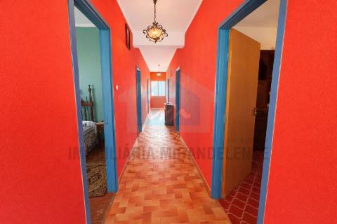 Moradia em Suçães com mais 7,5 hectares de terrenos anexos