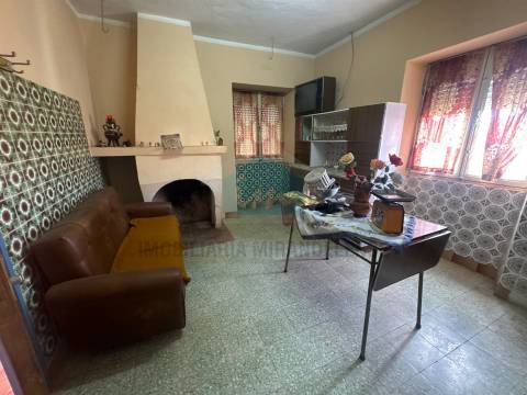 Moradia em Suçães com mais 7,5 hectares de terrenos anexos