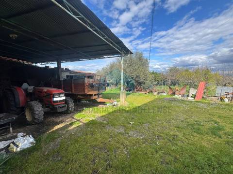 Moradia em Suçães com mais 7,5 hectares de terrenos anexos