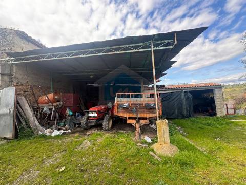 Moradia em Suçães com mais 7,5 hectares de terrenos anexos