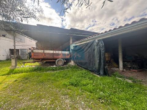 Moradia em Suçães com mais 7,5 hectares de terrenos anexos