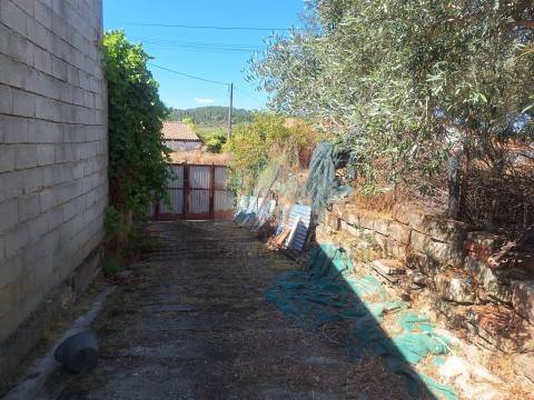 Moradia em Suçães com mais 7,5 hectares de terrenos anexos