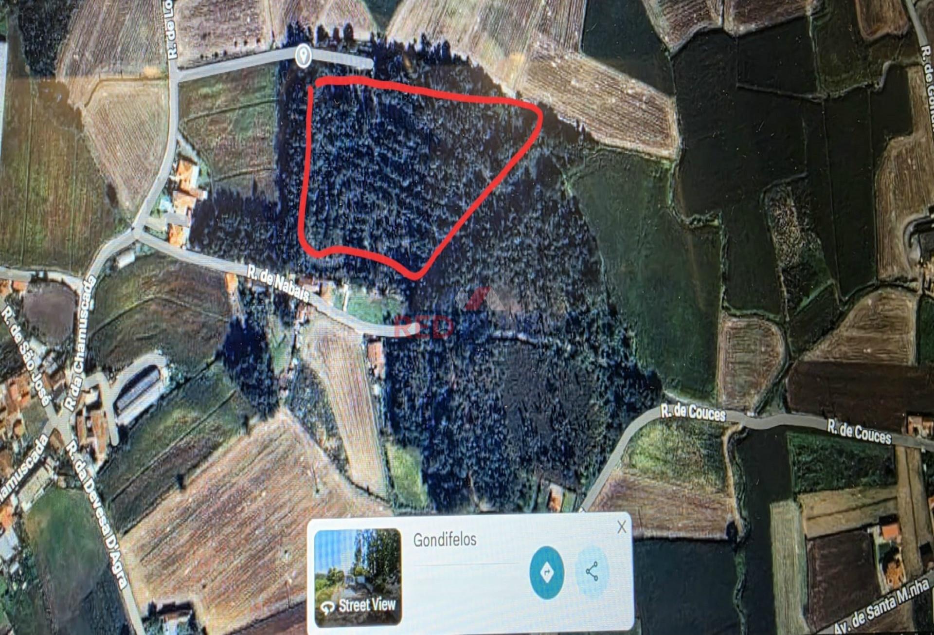 TERRENO RÚSTICO, GONDIFELOS, VILA NOVA DE FAMALICÃO