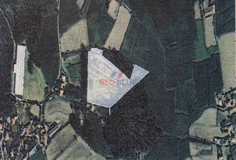 TERRENO RÚSTICO, GONDIFELOS, VILA NOVA DE FAMALICÃO