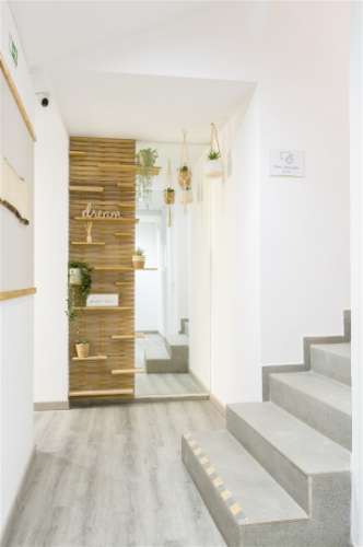 Golden Stay - Quarto Oura