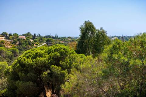 Para venda moradia individual T4 com piscina em Carvoeiro