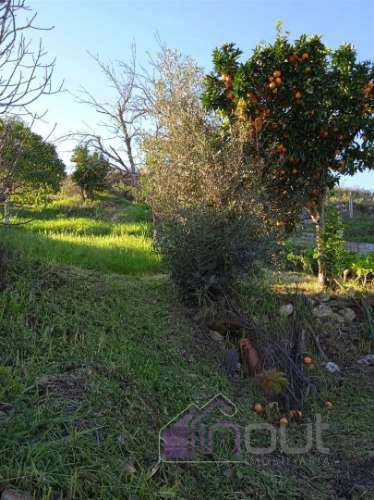 Casa Típica em Xisto para Recuperar com Quintal e Terreno – Excelente Oportunidade em Aldeia Tradici