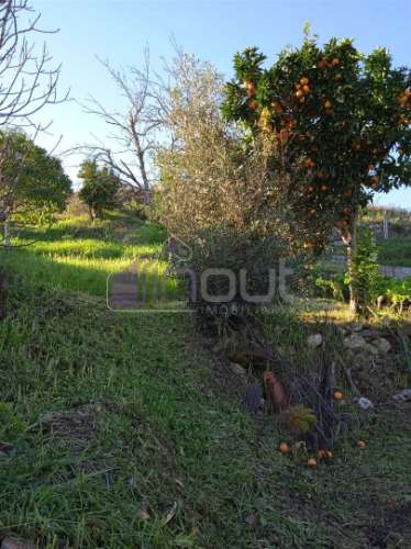 Casa Típica em Xisto para Recuperar com Quintal e Terreno – Excelente Oportunidade em Aldeia Tradici