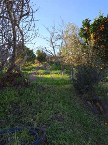 Casa Típica em Xisto para Recuperar com Quintal e Terreno – Excelente Oportunidade em Aldeia Tradici