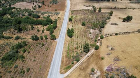 Terreno Para Construção  Venda em Pinhel,Pinhel