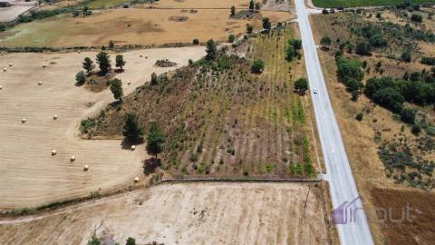 Terreno Para Construção  Venda em Pinhel,Pinhel