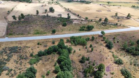 Terreno Para Construção  Venda em Pinhel,Pinhel