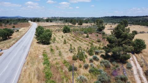 Terreno Para Construção  Venda em Pinhel,Pinhel