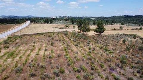 Terreno Para Construção  Venda em Pinhel,Pinhel