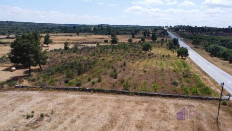 Terreno Para Construção  Venda em Pinhel,Pinhel