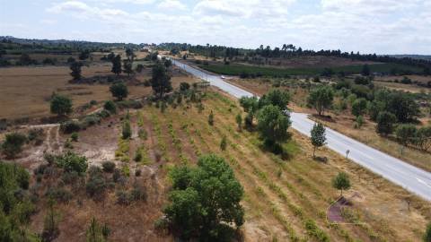Terreno Para Construção  Venda em Pinhel,Pinhel